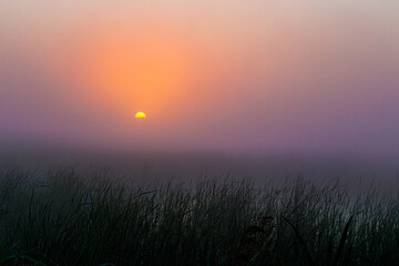 Wschód słońca we mgle