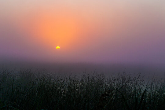 Fototapeta Wschód słońca we mgle