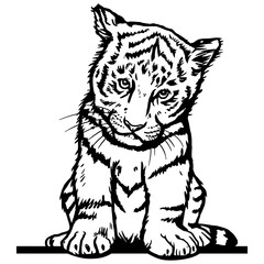 Funny Tiger Cub - Funny Peek Animal - face head isolated on white