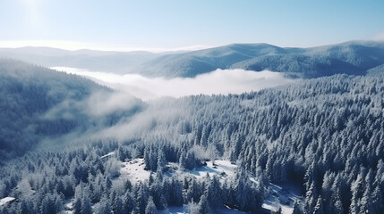 Fototapeta na wymiar Natural winter landscape aerial drone top view.. Winter season weather