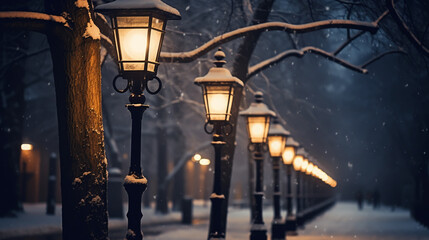 Fototapeta na wymiar Night winter landscape in the alley of city park