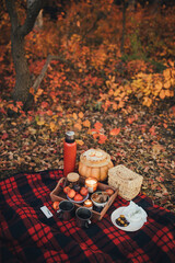 Cozy autumn picnic in a forest: tea, pie and fresh fruits on the red plaid.