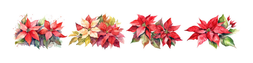 Watercolor poinsettia flower. Holiday cards element. Winter bouquet.