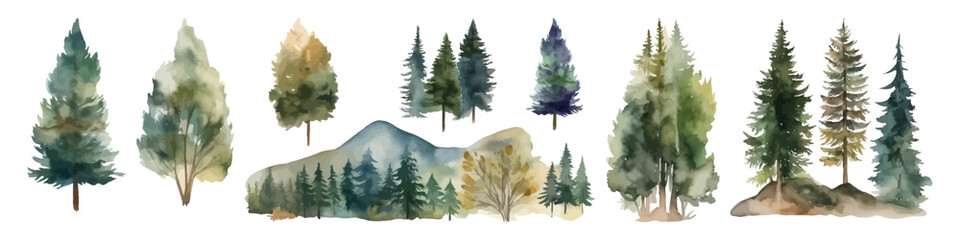 Watercolor christmas tree collection. Forest illustration element. Woodland pine trees.