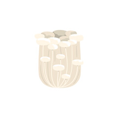 Enoki mushroom. Edible fungus. Vector cartoon illustration with texture isolated on the white background.