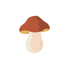 Porcini mushroom. Edible and delicious fungus. Vector cartoon illustration with texture isolated on the white background.