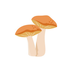 Suillus mushroom. Edible fungus. Vector cartoon illustration with texture isolated on the white background.