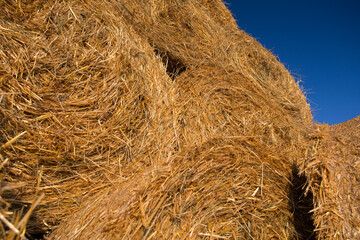 Piled hay bales on a field against blue sky