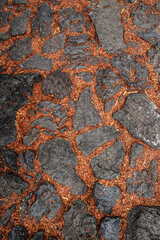 Texture Feuillage