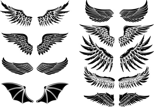 Set of vector wings isolated on white background. Design elements for logo, label, emblem, sign, brand mark. Vector illustration.