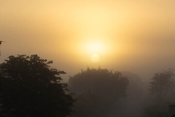 sunrise with fog and haze, mysterious scene with mist at dawn