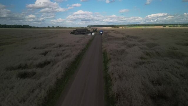 Canola field aerial view in Ukraine