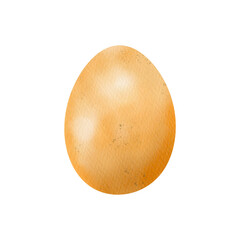 egg watercolor hand drawn isolated illustration
