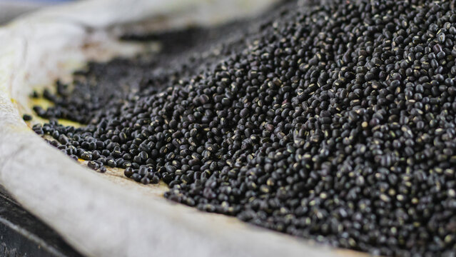 Urad bean or black gram kept in pile. 