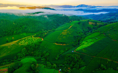 Beautiful sunset with green Terraced Rice Field in Chiangmai, Thailand, Pa Pong Piang rice terraces, green rice paddy fields during sunrise with fog and clouds