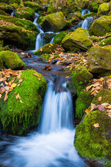 waterfall in autumn forest