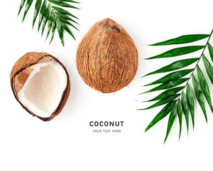 Fresh coconut and palm leaf isolated on white background.