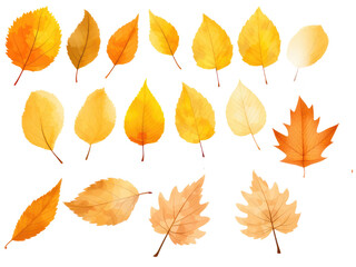 Naklejka premium autumn leaves isolated on transparent background