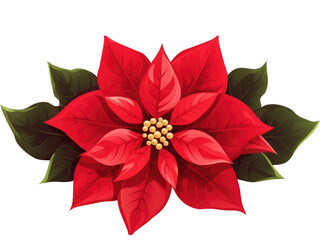 red poinsettia isolated on transparent background