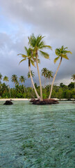 Fantastic tropical landscape with beach and clear clean sea on a sunny day.