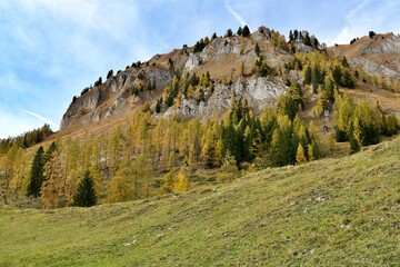 Pogórze austriackich Alp porośnięte modrzewiami. Szlak wiodący na szczyt Heukareck - obrazy, fototapety, plakaty