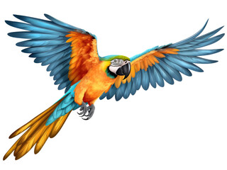 blue and yellow macaw ara ararauna isolated on transparent background