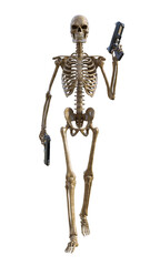 Human skeleton on transparent background, 3d render