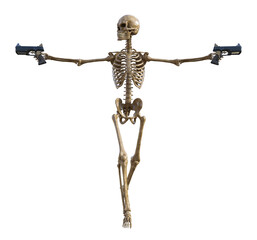 Human skeleton on transparent background, 3d render