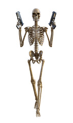 Human skeleton on transparent background, 3d render