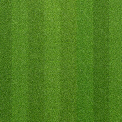 Short-cropped green grass with stripes
