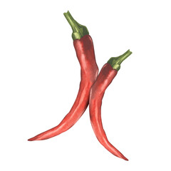 Hot peppers. Spicy red vegetables. Seasoning. Watercolor illustration on isolated white background. For textile design, packaging and backgrounds