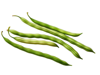 green beans isolated  on transparent background