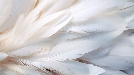 abstract background in the form of black and white feathers