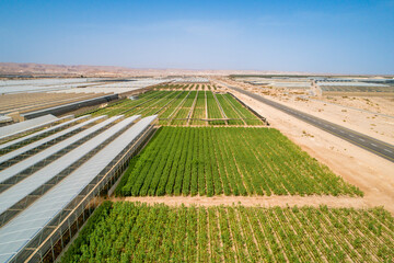 Aerial view of green fields and greenhouse in the desert, Paran, Negev desert, Israel.