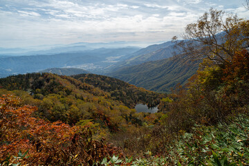 Fototapeta premium 美しい山の紅葉 栂池高原