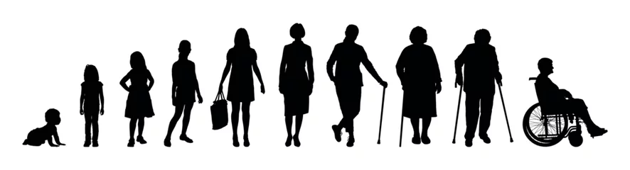 Fotobehang Woman life cycle and aging process stages from baby to elderly stages human life path vector silhouette set. © Andreas