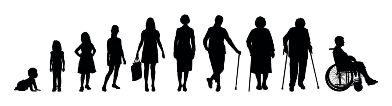 Woman life cycle and aging process stages from baby to elderly stages human life path vector silhouette set.