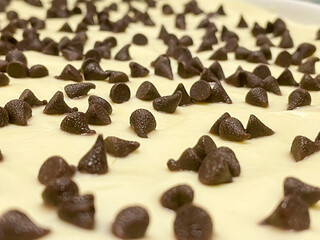 chocolate chips on a sea of lemon cream