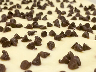 chocolate chips on a sea of lemon cream