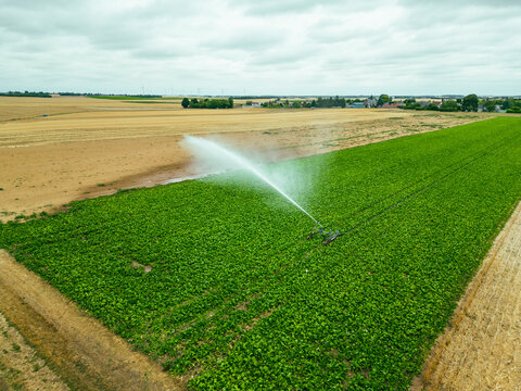 Aerial view of a sprinkler in a field in countryside at sunset, Jouy-en-Pithiverais, Loiret, France.