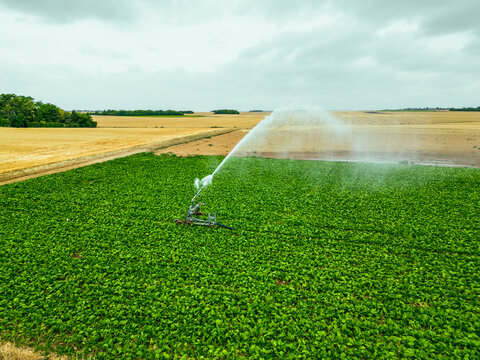 Aerial view of a sprinkler in a field in countryside at sunset, Jouy-en-Pithiverais, Loiret, France.