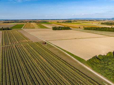 Aerial view of crops, forest, and countryside on a late summer day as the sun begins to set with mountains in the distance, Wagram An Der Donau, Lower Austria, Austria.