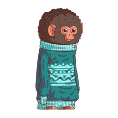 Hipster monkey, vector illustration. A calm anthropomorphic fennec, fashionably dressed in a long sweatshirt. Humanized city monkey. Animal character with human body