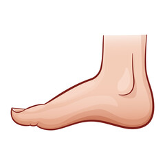 illustration of human foot cartoon