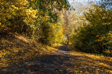 herbstliche Impressionen Herbst im Harz Selketal