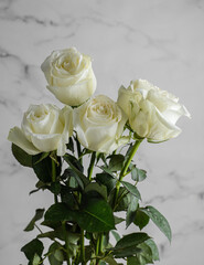 white roses with droplets on a light background