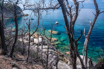 Isola d'Elba, cala Cotaccia