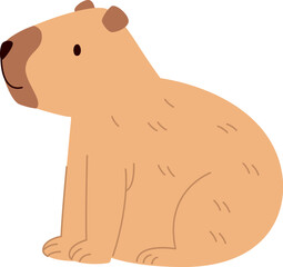 Capybara Animal Sitting