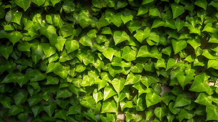 Fototapeta premium Green structure wall with leaves shadows. Background