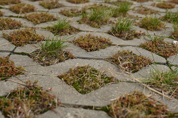 Background texture of square tiles made of gray natural stone. Concrete street covering of road, geometric paving pattern, green lawn and eco parking, green parking, sustainable development city